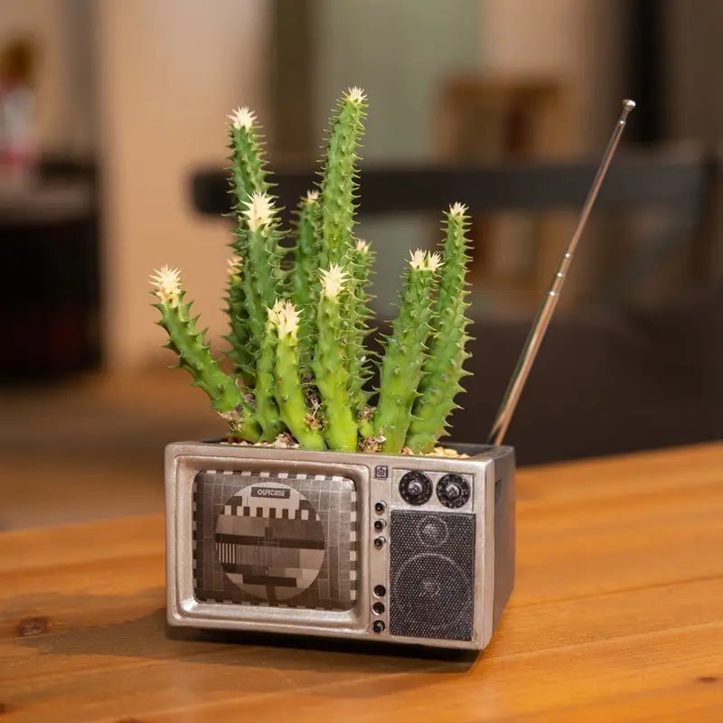 TV Planter with Shaped pot plant holder/planter. Plastic resin in a gothic alternative style.