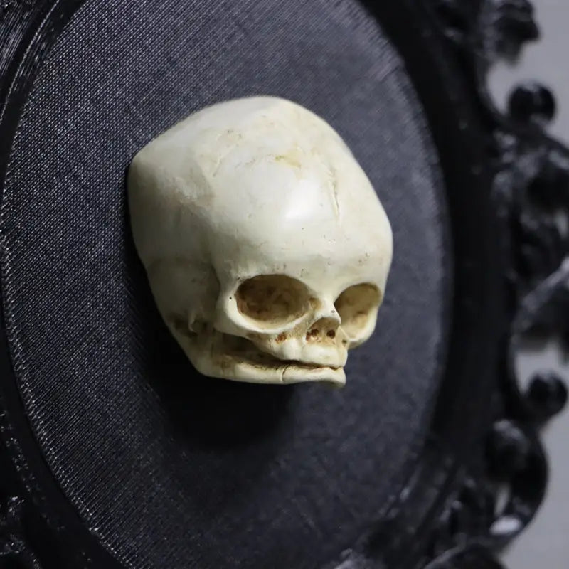 in a gothic alternative style.