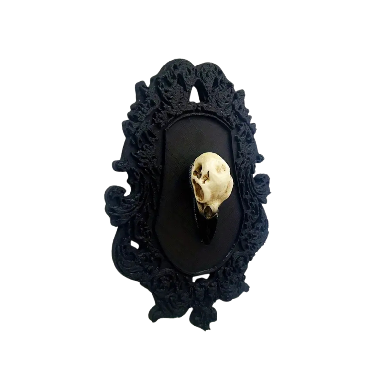 Black Framed Bird Skull with Ornate black framed bird skull. 3D. Plastic resin. Flat back in a gothic alternative style.