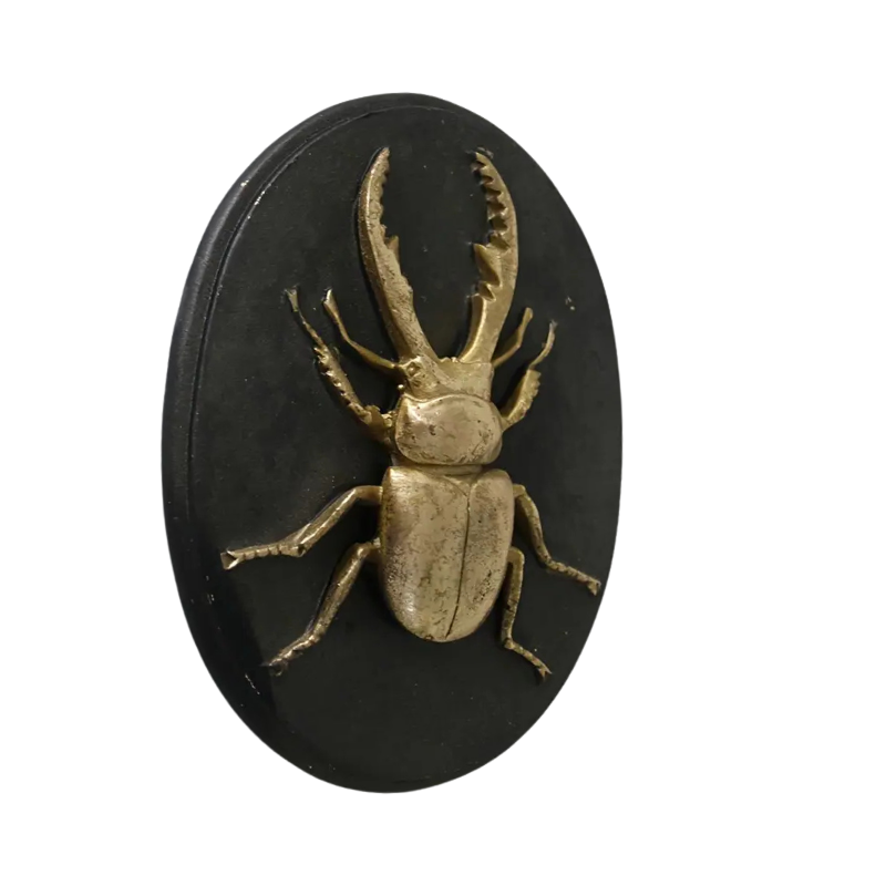 Black The Dark Arts: Mounted Beetle with Brass beetle mounted on black, oval frame. 3D. Plastic resin in a gothic alternative sty.